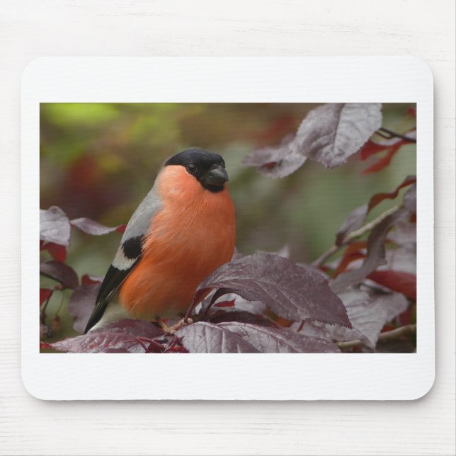 Bull Finch Mouse Mat (Front)