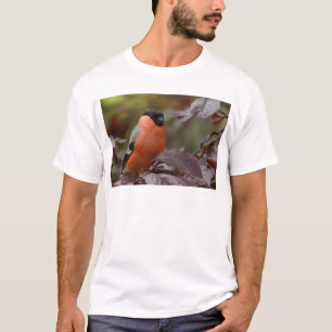 Bull Finch T-Shirt