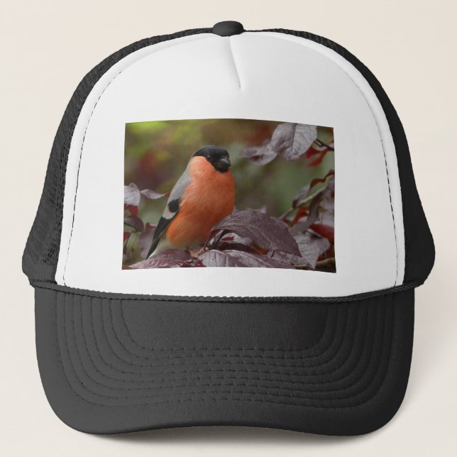 Bull Finch Trucker Hat (Front)