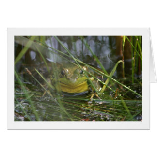Bull Frog Blank Cards
