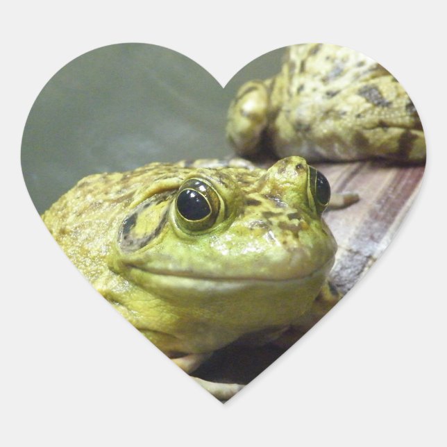 Bull Frog Heart Sticker (Front)