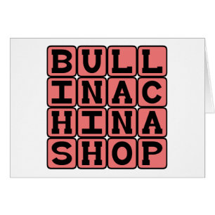 Bull In A China Shop, Clumsy Oaf