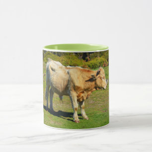 Bull in Madeira Mug