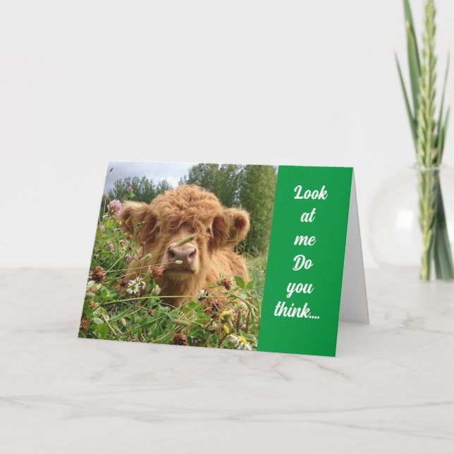 BULL IS SERIOUS AND SAYS "HAPPY 70th BIRTHDAY" Card (Front)