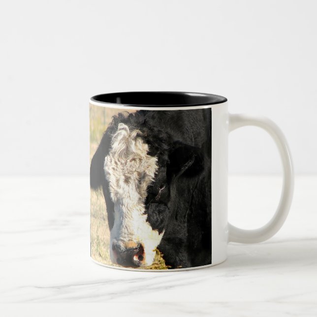 Bull Look Two-Tone Coffee Mug (Right)