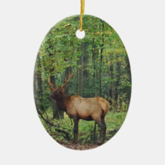 Bull Male Elk in autumn field Ceramic Tree Decoration