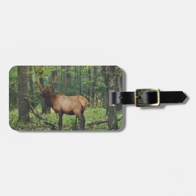 Bull Male Elk in autumn field Luggage Tag (Front Horizontal)