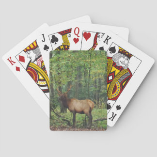 Bull Male Elk in autumn field Playing Cards