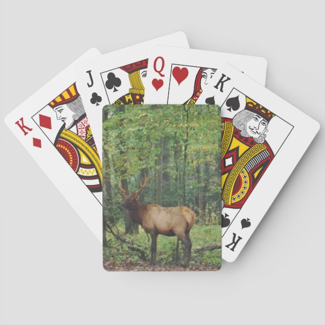 Bull Male Elk in autumn field Playing Cards (Back)
