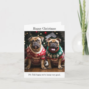 Bull Mastiff Dogs in Christmas Sweaters Card