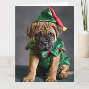 Bull Mastiff Elf Puppy Christmas Card