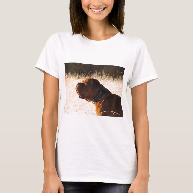 Bull Mastiff T-Shirt (Front)