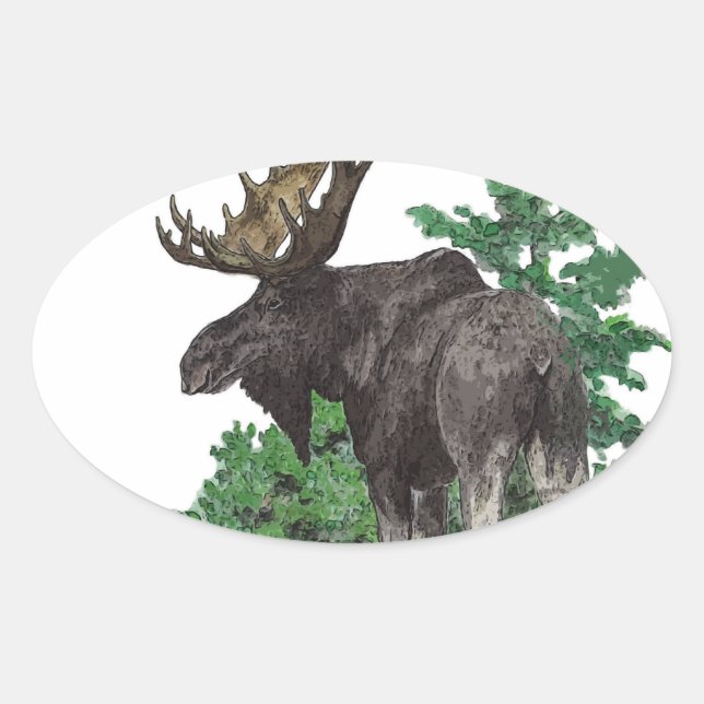 Bull moose art oval sticker (Front)