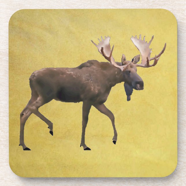 Bull Moose Coaster (Front)