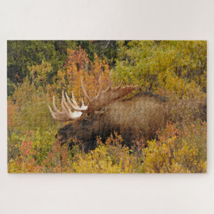 Bull Moose   Denali National Park, Alaska Jigsaw Puzzle