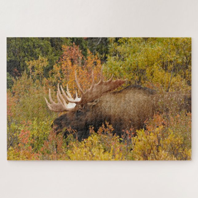 Bull Moose | Denali National Park, Alaska Jigsaw Puzzle (Horizontal)