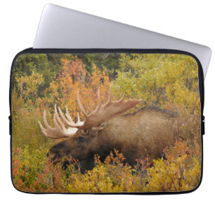 Bull Moose Denali National Park, Alaska Laptop Sleeve