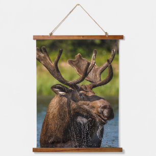 Bull Moose   Glacier National Park Montana Hanging Tapestry