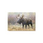 Bull moose in snowstorm with aspen trees
