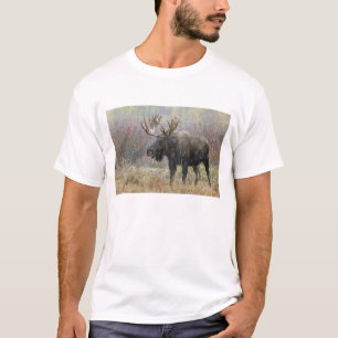 Bull moose in snowstorm with aspen trees T-Shirt