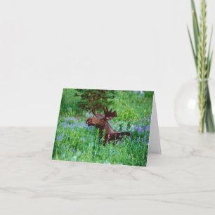 Bull Moose in Wildflowers Note Card