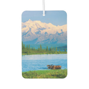 Bull moose in Wonder Lake Car Air Freshener