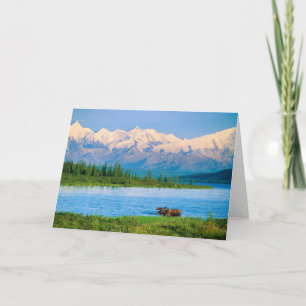 Bull moose in Wonder Lake Card