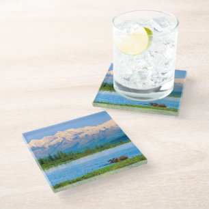 Bull moose in Wonder Lake Glass Coaster