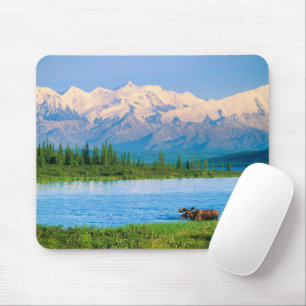 Bull moose in Wonder Lake Mouse Mat