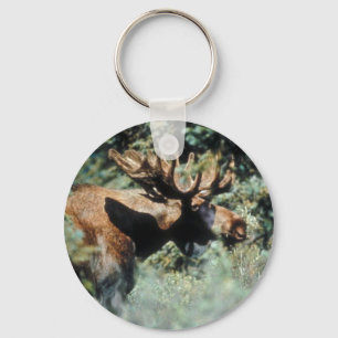 Bull moose key ring