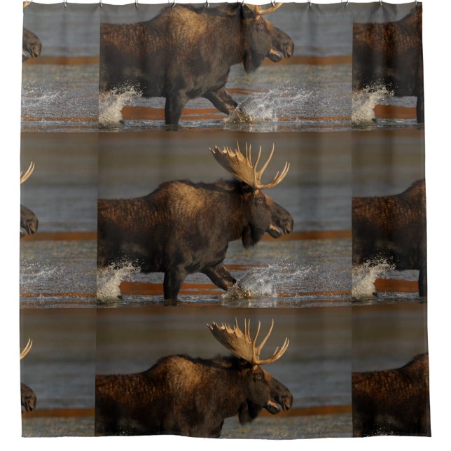Bull Moose Splashing Shower Curtain (Front)