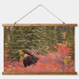 Bull Moose Standing In Red Dwarf Birch Hanging Tapestry