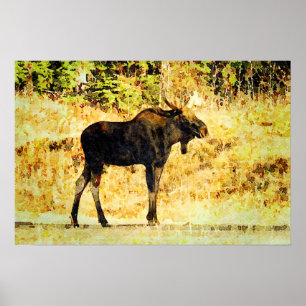Bull Moose Standing Watercolor Painting Wildlife Poster