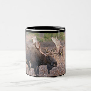 Bull moose Two-Tone coffee mug