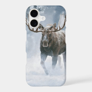 Bull Moose Walking Through Boreal Snow