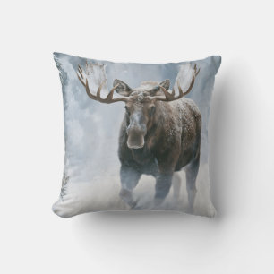 Bull Moose Walking Through Boreal Snow Cushion