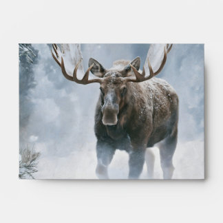 Bull Moose Walking Through Boreal Snow Envelope