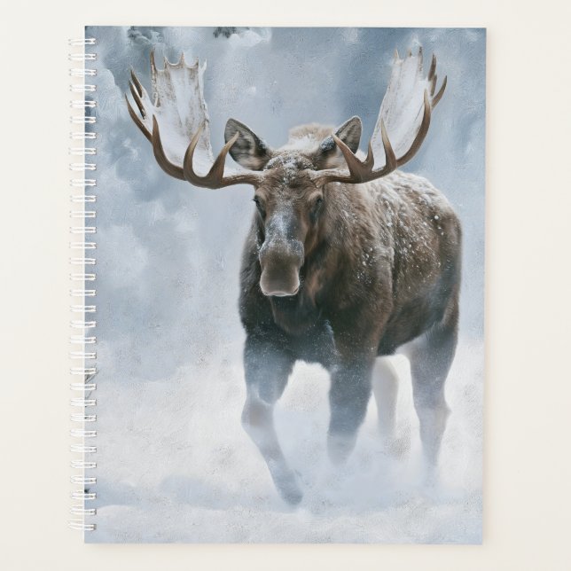 Bull Moose Walking Through Boreal Snow Planner (Front)