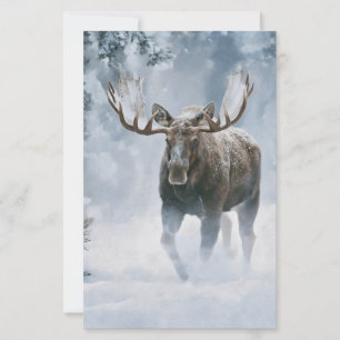 Bull Moose Walking Through Boreal Snow Stationery