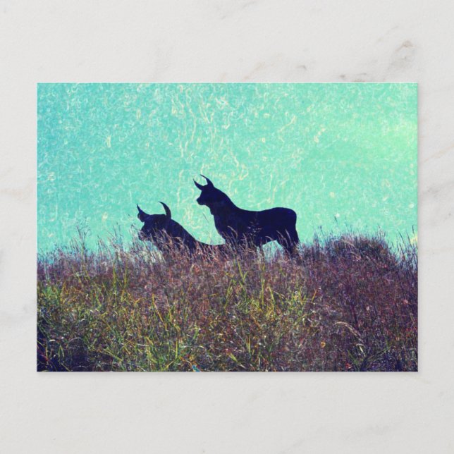 Bull Mountain Postcard (Front)