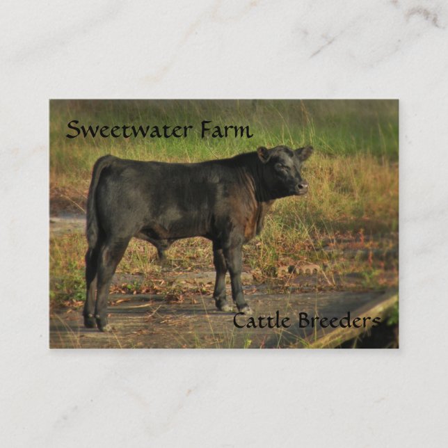 Bull or Cattle Farm Chubby Business Card (Front)