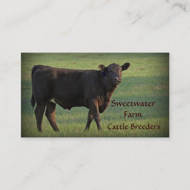 Bull or Cattle Farm Standard Business Card 2 (Front)