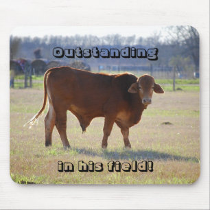 Bull Oustanding in His Field Mousepad