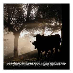 Bull Poster