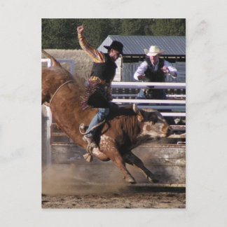 Bull Rider Extreme Postcard