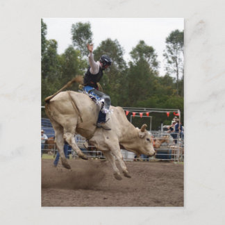 BULL RIDING BERT POSTCARD