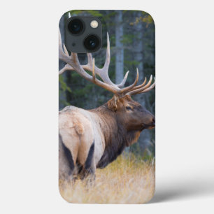 Bull Rocky Mountain Elk iPhone 13 Case