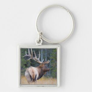 Bull Rocky Mountain Elk Key Ring