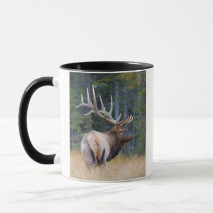 Bull Rocky Mountain Elk Mug
