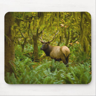 Bull Roosevelt Elk Mouse Mat